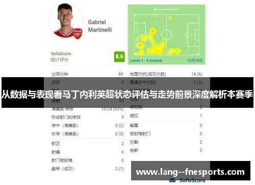 从数据与表现看马丁内利英超状态评估与走势前景深度解析本赛季