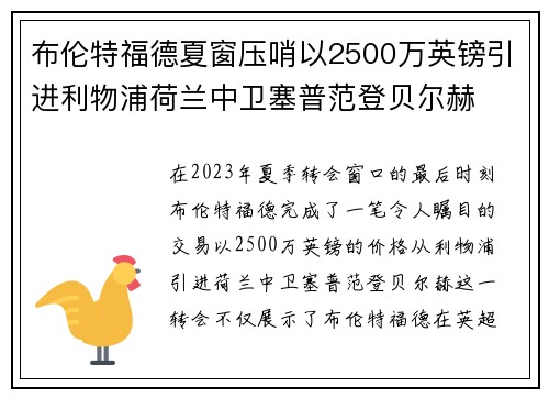 布伦特福德夏窗压哨以2500万英镑引进利物浦荷兰中卫塞普范登贝尔赫 布伦特福德夏窗压哨以2500万英镑引进利物浦荷兰中卫塞普范登贝尔赫